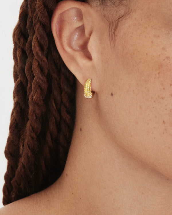 The Soleil Crescent Hoops