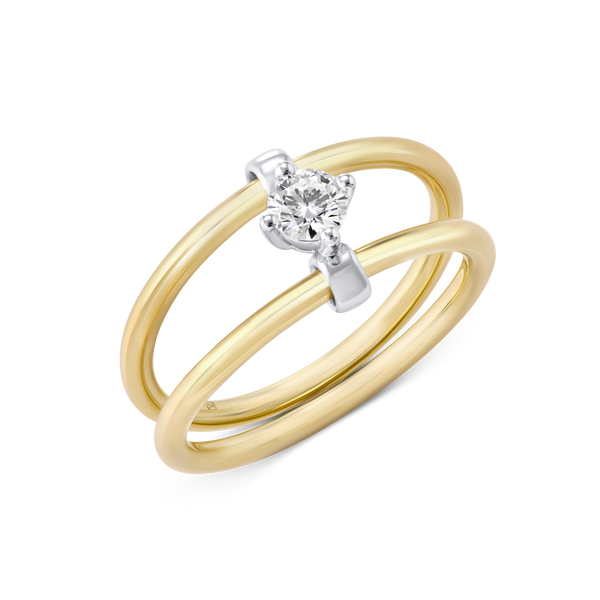 The Rotating Double Ring