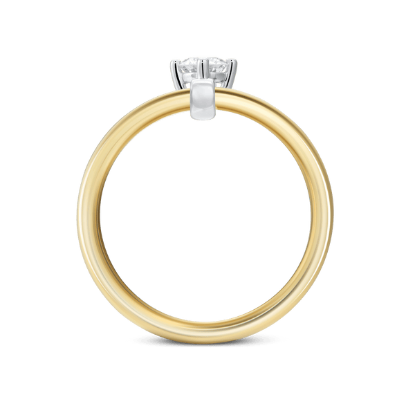 The Rotating Double Ring