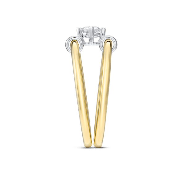 The Rotating Double Ring